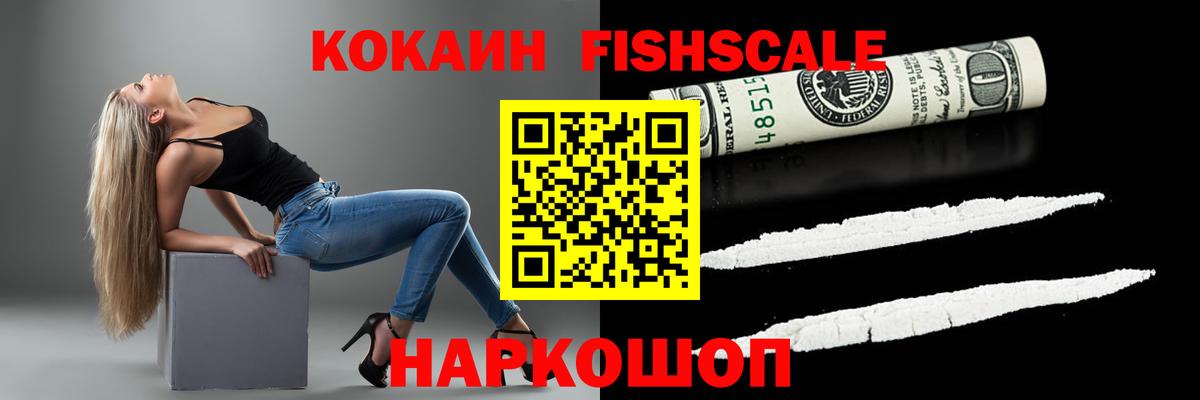 COCAIN FishScale Сердобск