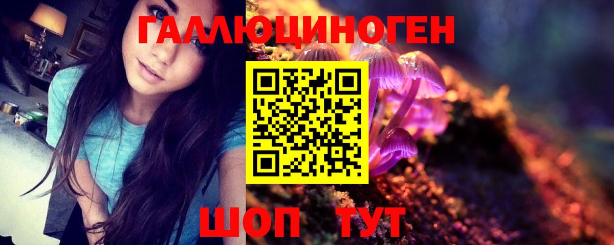 Псилоцибиновые грибы прущие грибы  Вход с VPN  Сердобск  Псилоцибиновые грибы прущие грибы 